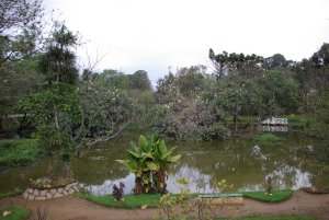 Antananarivo (Botanischer Garten)